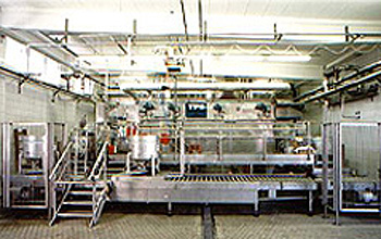 Beh&auml;lterwaschanlagen f&uuml;r Edelstahlcontainer mit Rundverkettung